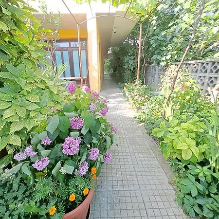 דירה Summer - Sunny *